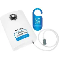 BLOW OZ-02 : Mini-générateur d'ozone, 1000 mg/h, 15W