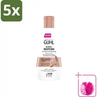 Guhl 5 flacons de shampooing Bond+ Restore pour cheveux abîmés - 250 ml - Pack économique - 5 pièces