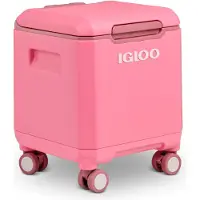 Igloo Tag Along Too Spinner 360 Pink