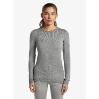 Icebreaker 260 Tech Long Sleeve T-shirt Gris XS Femme
