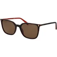 Polaroid Lunettes de Soleil - - PLD 4209/S/X - Havana - Polycarbonate - Carré 56/18/130