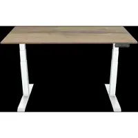 Euroseats Bureau Assis-Debout Électrique 120 x 80 Blanc/Chêne