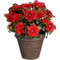 Mica Decorations Plante artificielle - Azalée - Rouge - en pot - 31 cm - fausses plantes
