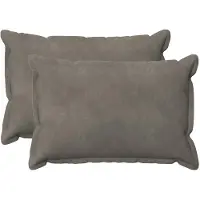 vidaXL Housse De Coussin 2 Pcs Houten Gris Clair 40 X 60 Cm Velours