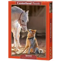 Castorland Puzzle Amitié Unique - 1000 pièces