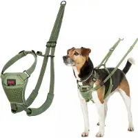 Halti Harnais pour chien Compagnie des Animaux FOREST vert 20