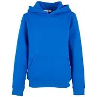 Build Your Brand Sweat à Capuche Organic Basic