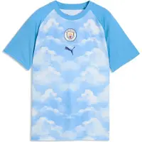 Puma T-Shirt fonctionnel 'Manchester City' bleu pastel / blanc