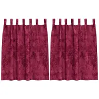 vidaXL Rideaux en velours 2 pcs Bordeaux 140 x 140 cm Velours