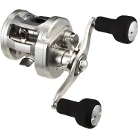 Daiwa Ryoga 26 150 Baitcasting Reel Argenté Ratio 5.3:1