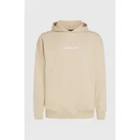 O'Neill The Future Surf Society Hoodie Beige S Homme
