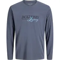 Jack & jones Junior T-Shirt 'JJJade' bleu clair / gris basalte / noir