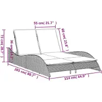 vidaXL Bain de soleil avec coussins Marron Poly Rattan