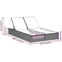vidaXL Bain de soleil double avec coussins gris clair Poly rotin