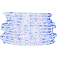 vidaXL Tuyau lumineux 120 LED blanc froid 5 m PVC