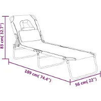 vidaXL Bain de soleil pliable Tissu Oxford & Acier revêtu par poudre
