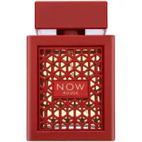 Rave Now Rouge eau de parfum spray 100ml