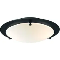 BELID Cirklo Ceiling Lamp Ø 30 cm | Black Structure