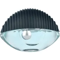 Kenzo WORLD eau de parfum vaporisateur 30 ml