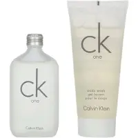 Calvin Klein CK One coffret cadeau mixte