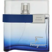 Salvatore Ferragamo F by Ferragamo Free Time EDT 100 ml M