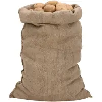 vidaXL Sacs en jute 10 pcs. 60x105 cm 100% jute 340 g/m