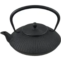 Cosy & Trendy Theiere Fonte 1,15l Stria Blackavec Filtre Tsp88