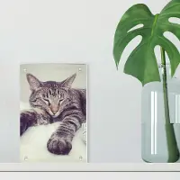 Yoursurprise Cadre photo plexiglas - 10x15 cm